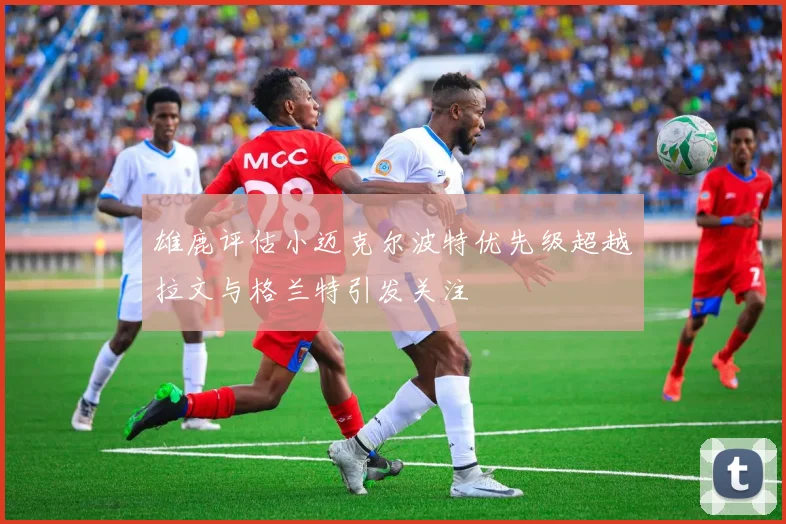 雄鹿评估小迈克尔波特优先级超越拉文与格兰特引发关注