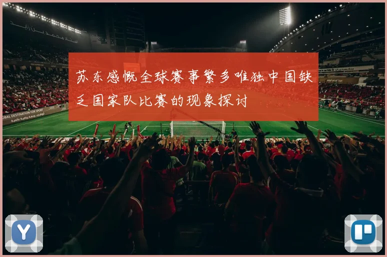 苏东感慨全球赛事繁多唯独中国缺乏国家队比赛的现象探讨
